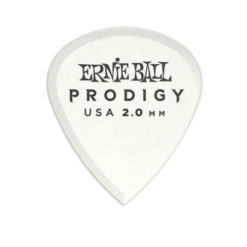 ERNIE BALL P09203