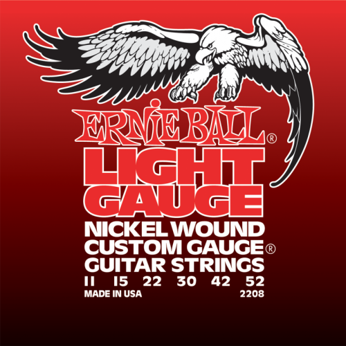 ERNIE BALL P02208