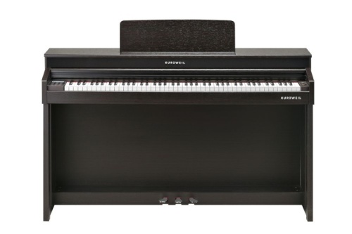 Kurzweil Andante CUP320 SR